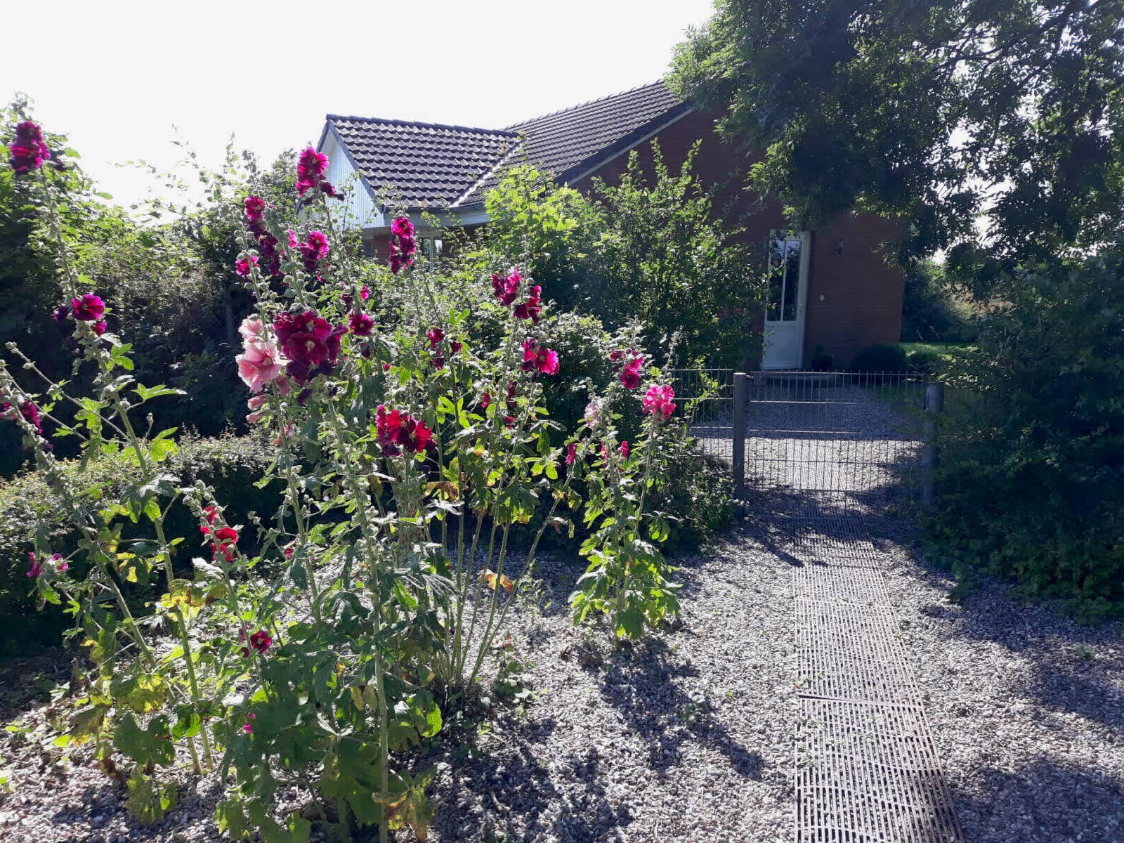 Ferienhaus Schwalbennest, Ansicht von außen