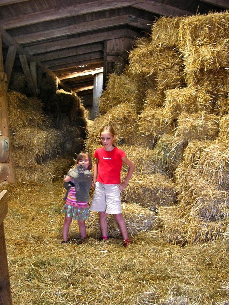 Kinder auf dem Strohboden