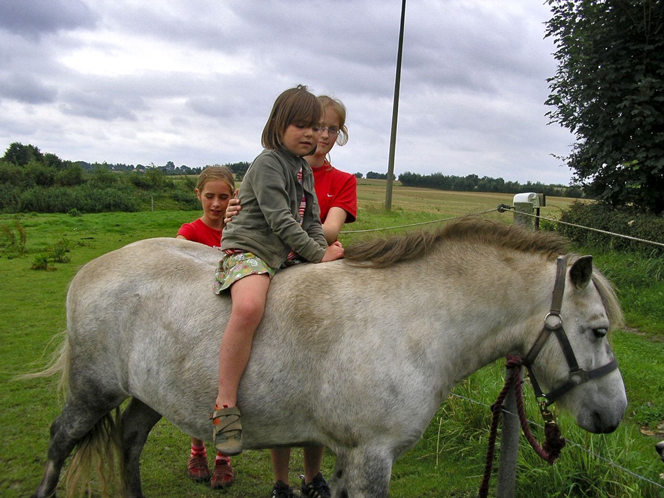 Kinder beim Ponyreiten