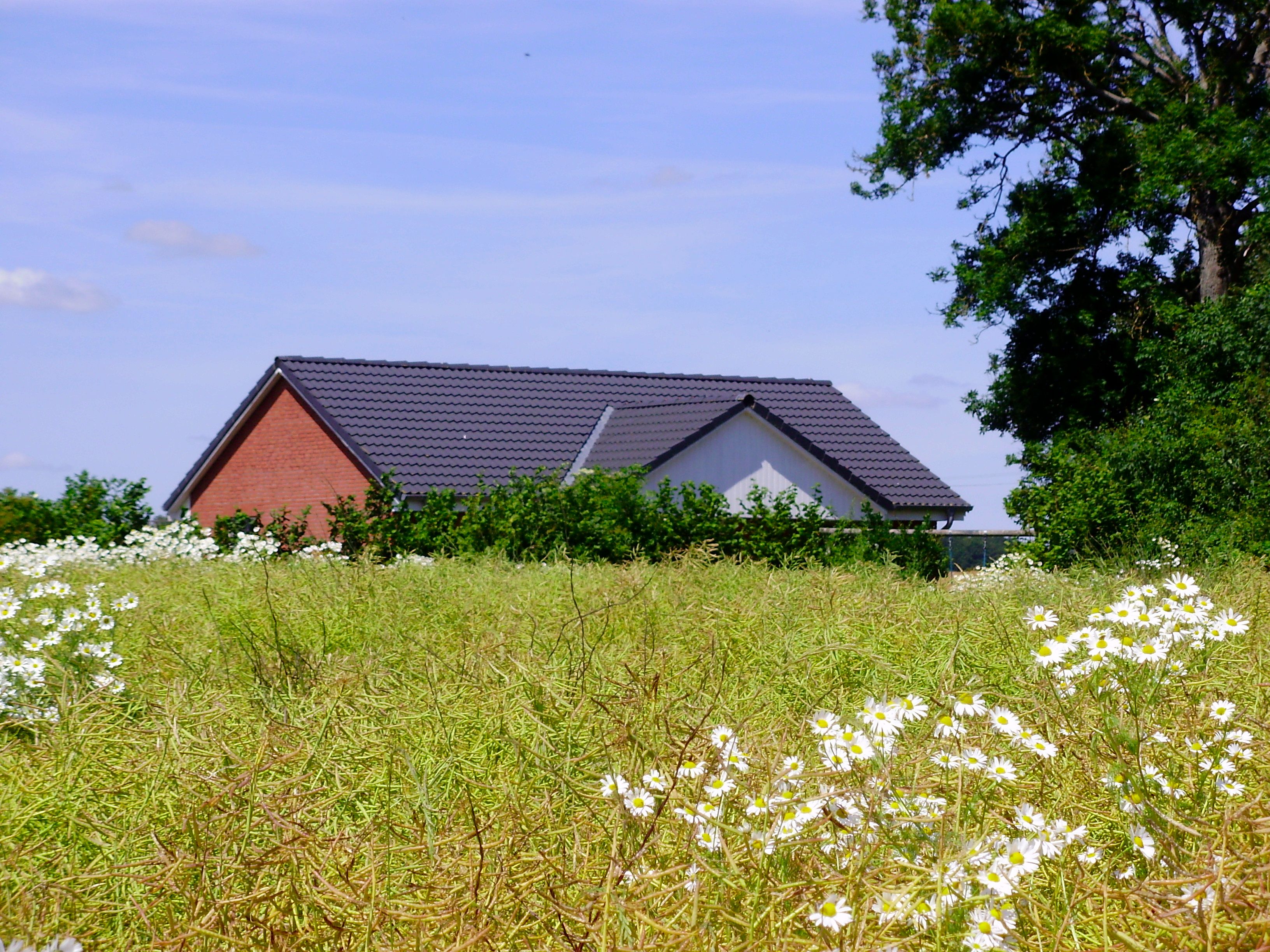 Ferienhaus Schwalbennest im Sonnenschein